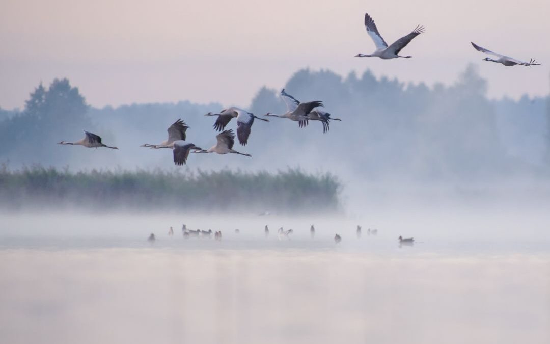 Jesień w Dolinie Baryczy – czas pełen smaków, tradycji i niezwykłych historii