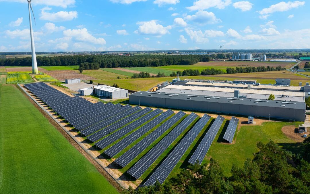 Deftrans invests in photovoltaics – new PV farm at Factory No. 1